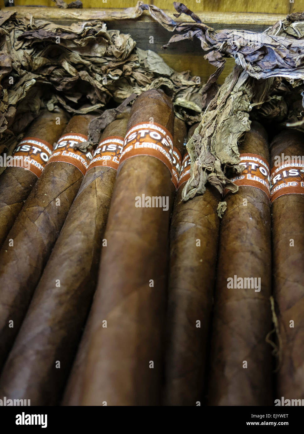 Hand rolled boxed cigars, Ybor City, Tampa, Florida, USA Stock Photo