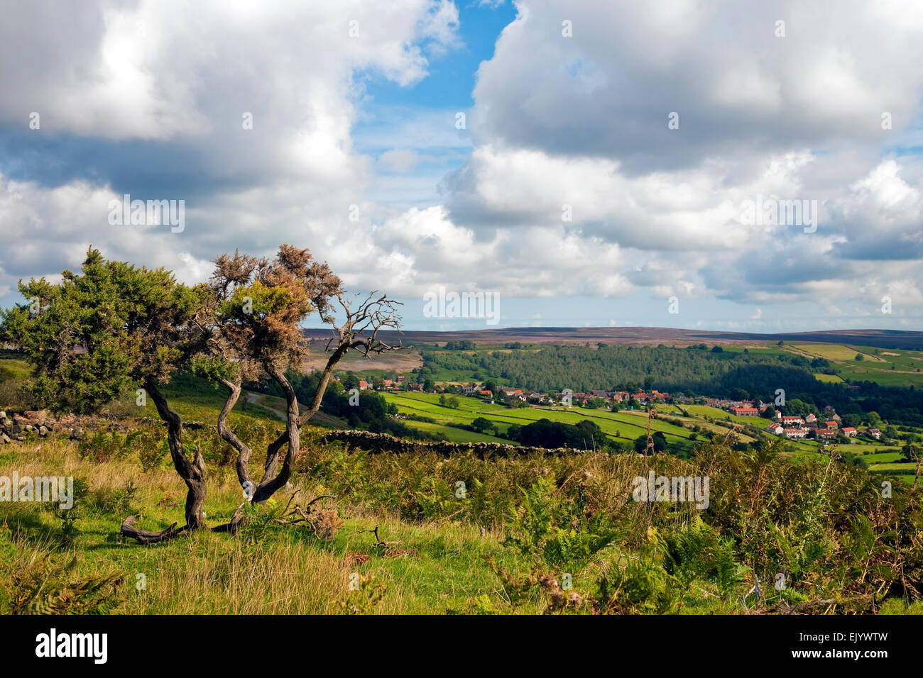 Castleton Rural Area View looking across the moors to the village of Castleton and the Esk ...