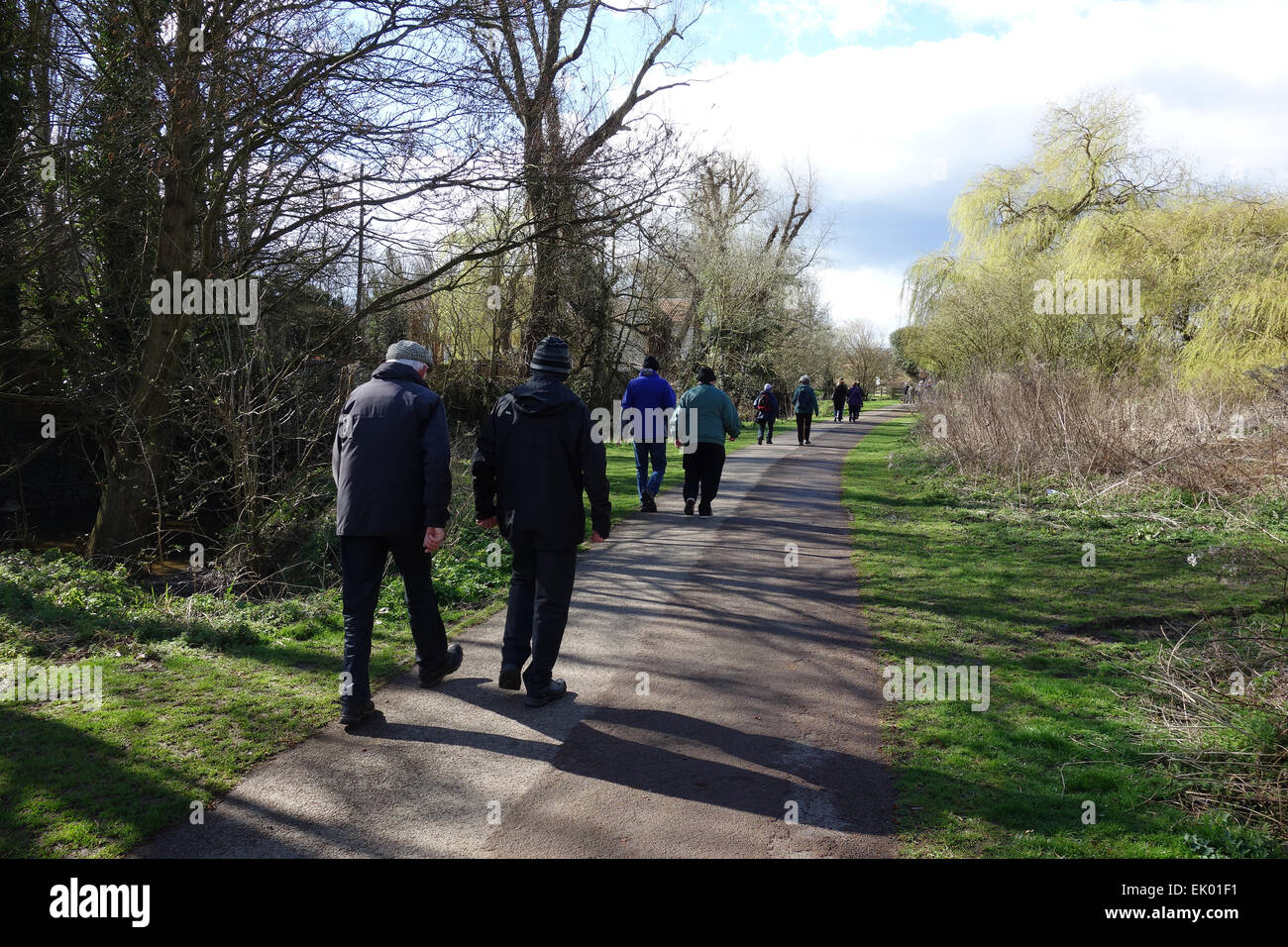 Group of retired people out on a weekly walk through local park in Witham, Essex, England Stock Photo