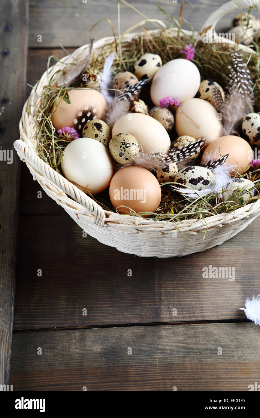 basket full of fresh farm eggs, easter Stock Photo