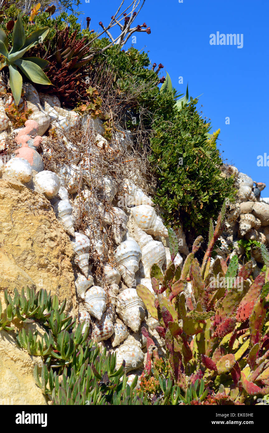 Cactus garden on Armacao De Pera Beach, Portugal Stock Photo