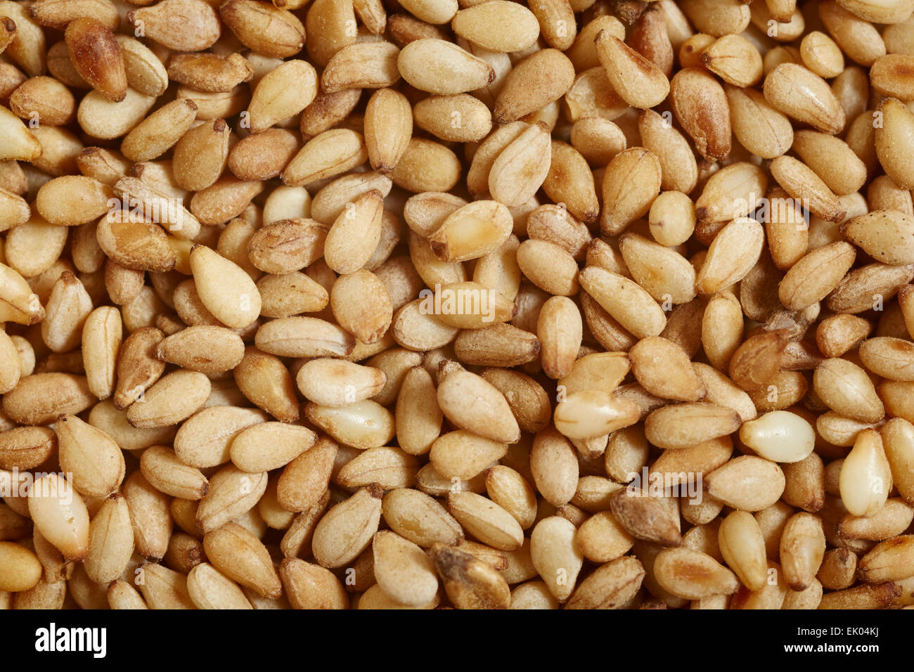 Roasted Sesame Seeds Stock Photo