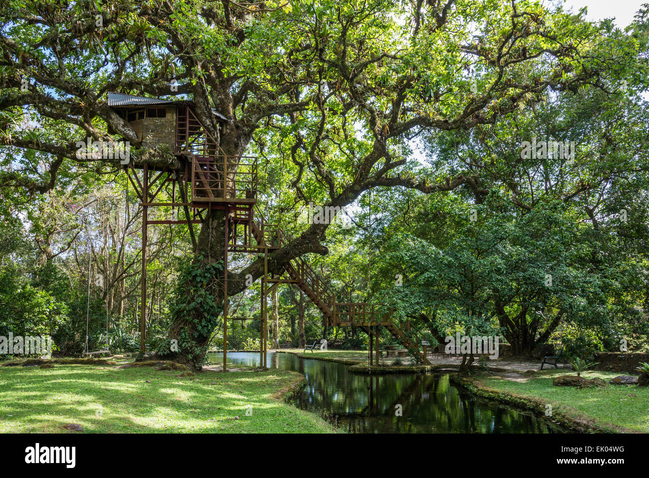 A tree-house under the canopy of a giant oak tree. Panama, Central America. Stock Photo