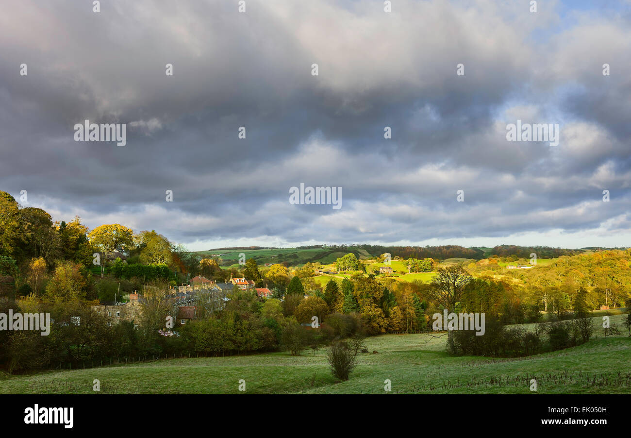 A row of traditional terrace house surrounded by trees and farmland in the North York Moors National Park in autumn, Stock Photo