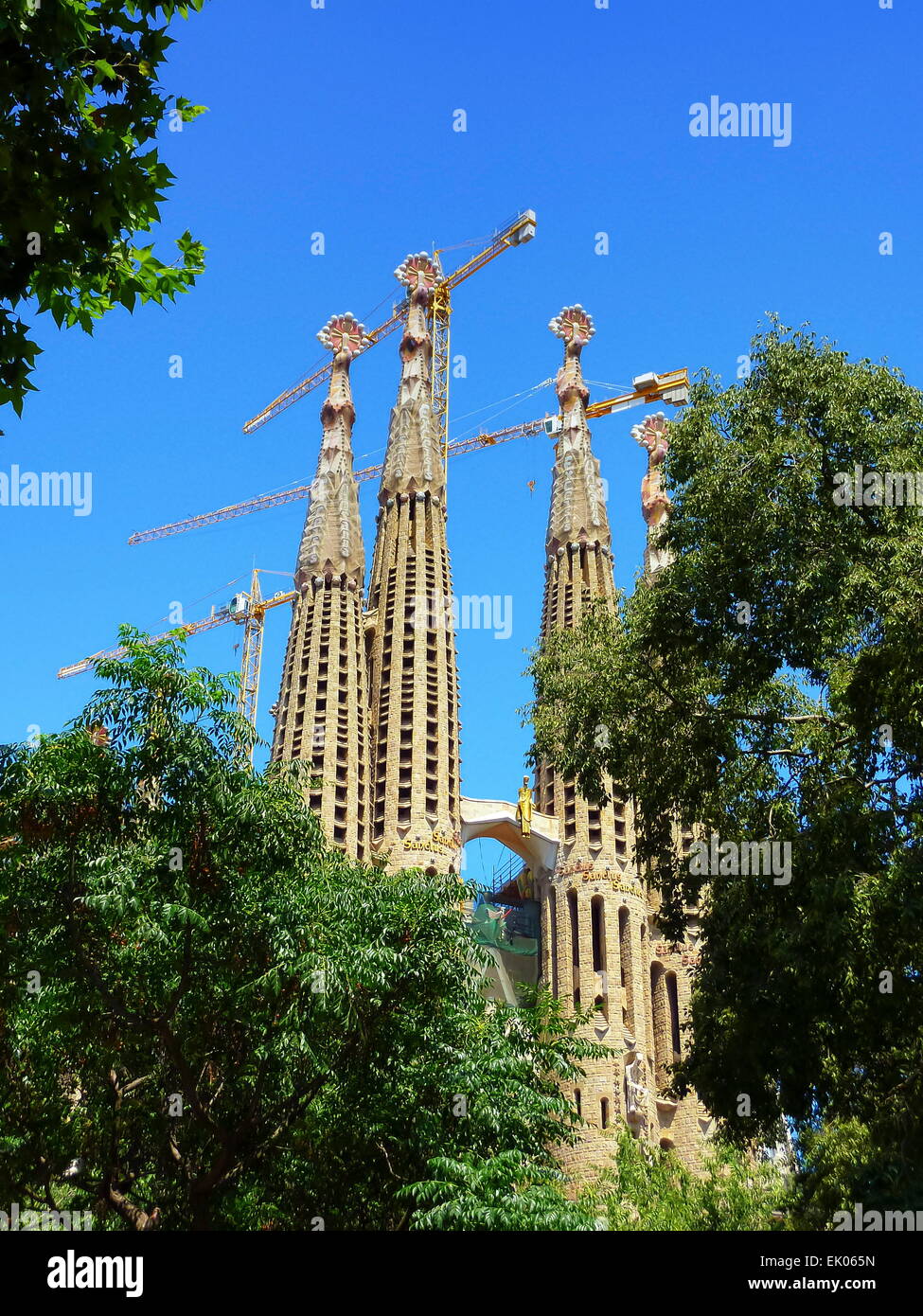 Sagrada familia church behind trees by beautiful day in Barcelona, Spain Stock Photo