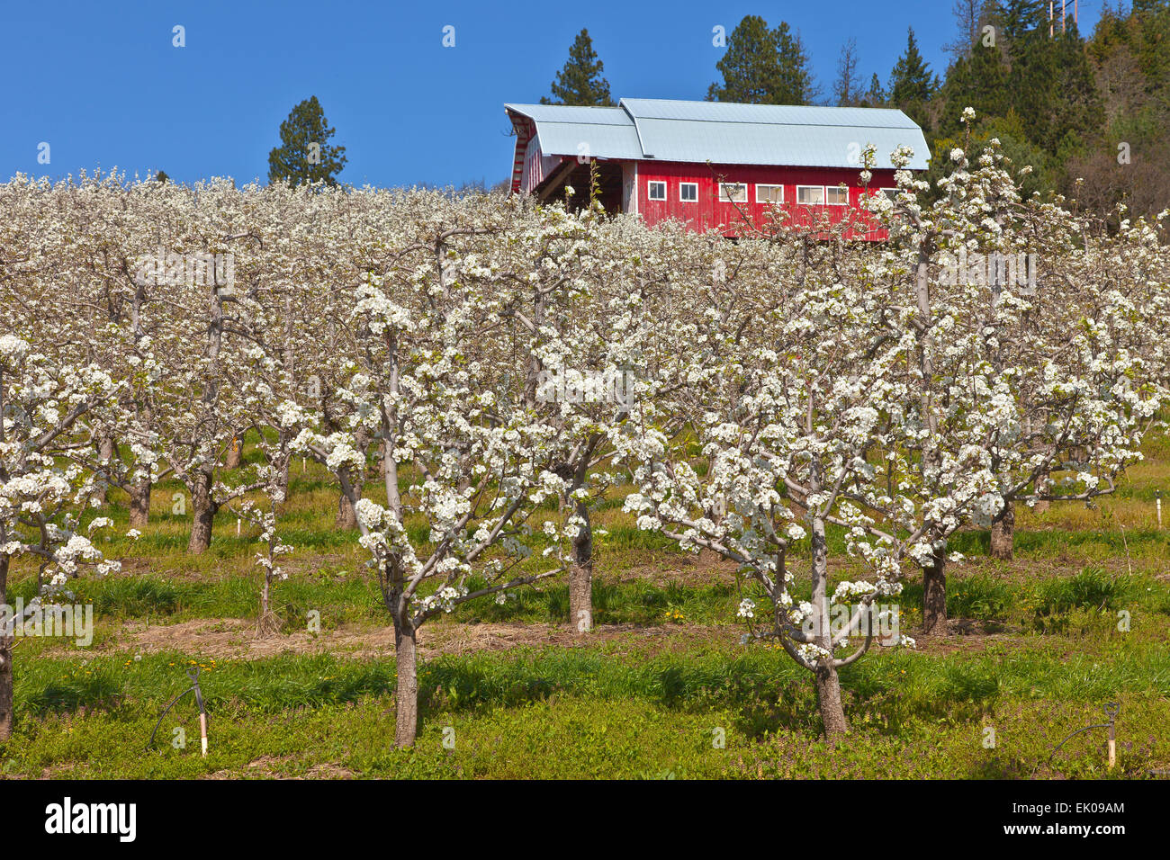Hood river red barn hires stock photography and images Alamy