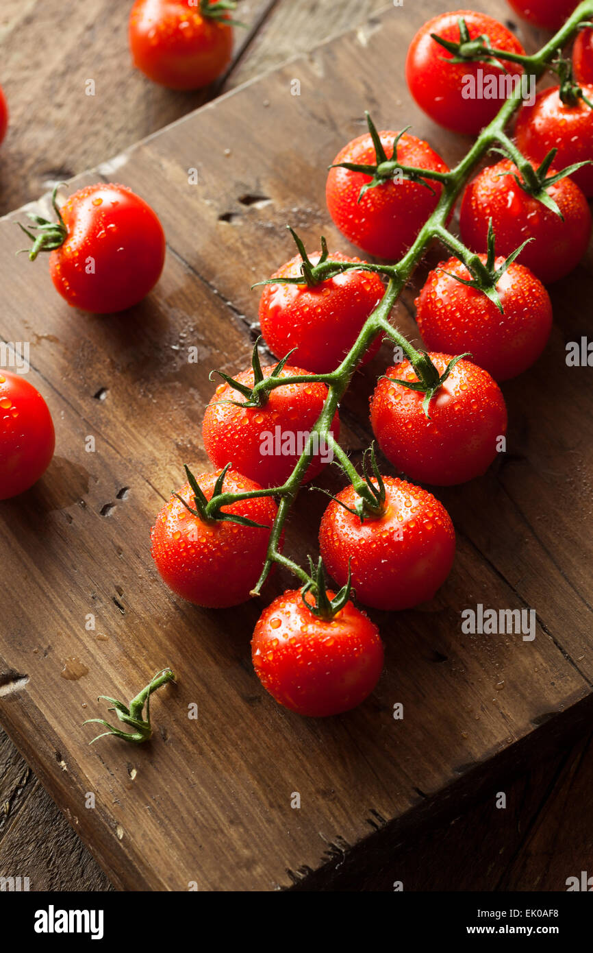 Raw Organic Red Cherry Tomatoes on the Vine Stock Photo