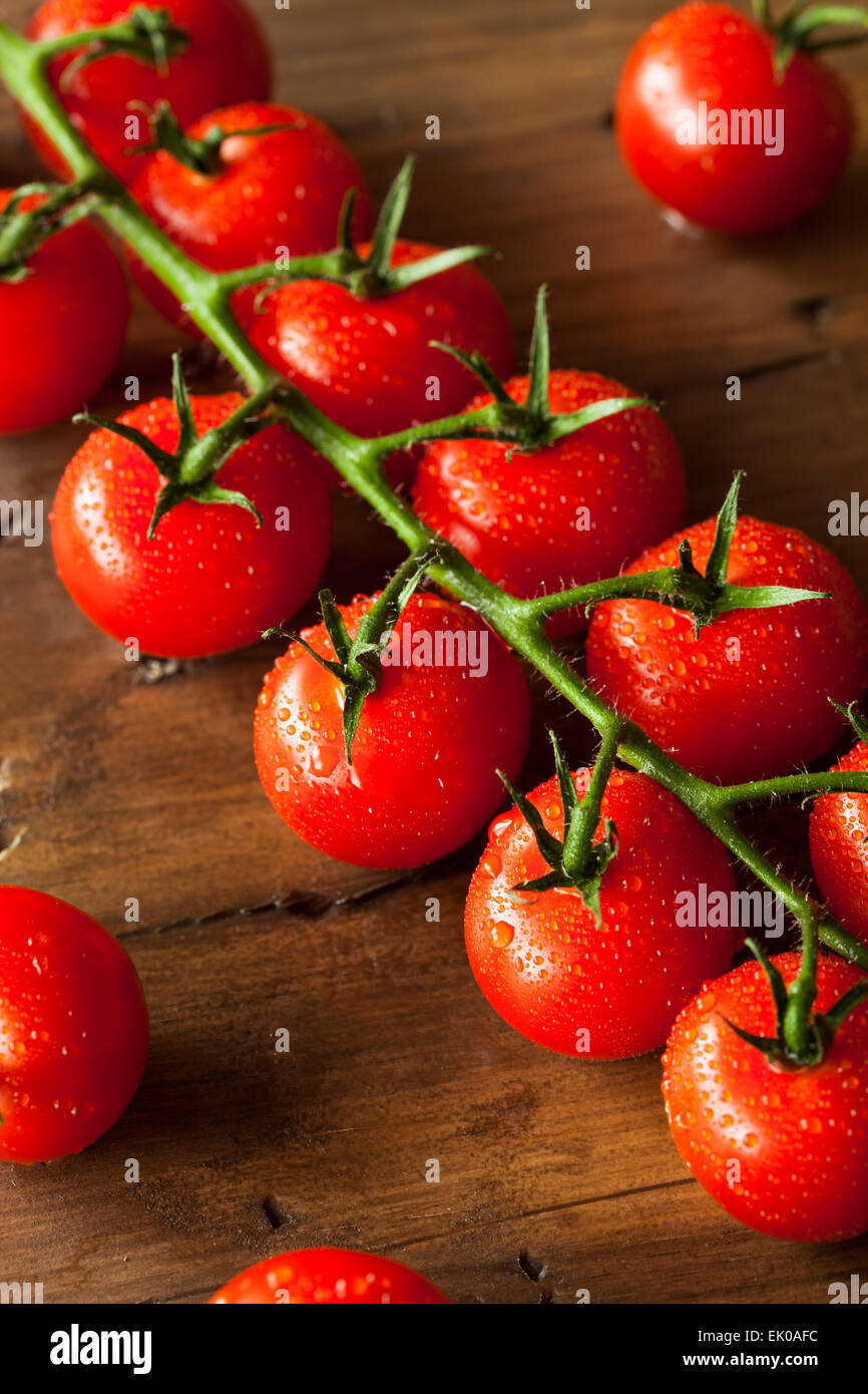Raw Organic Red Cherry Tomatoes on the Vine Stock Photo - Alamy
