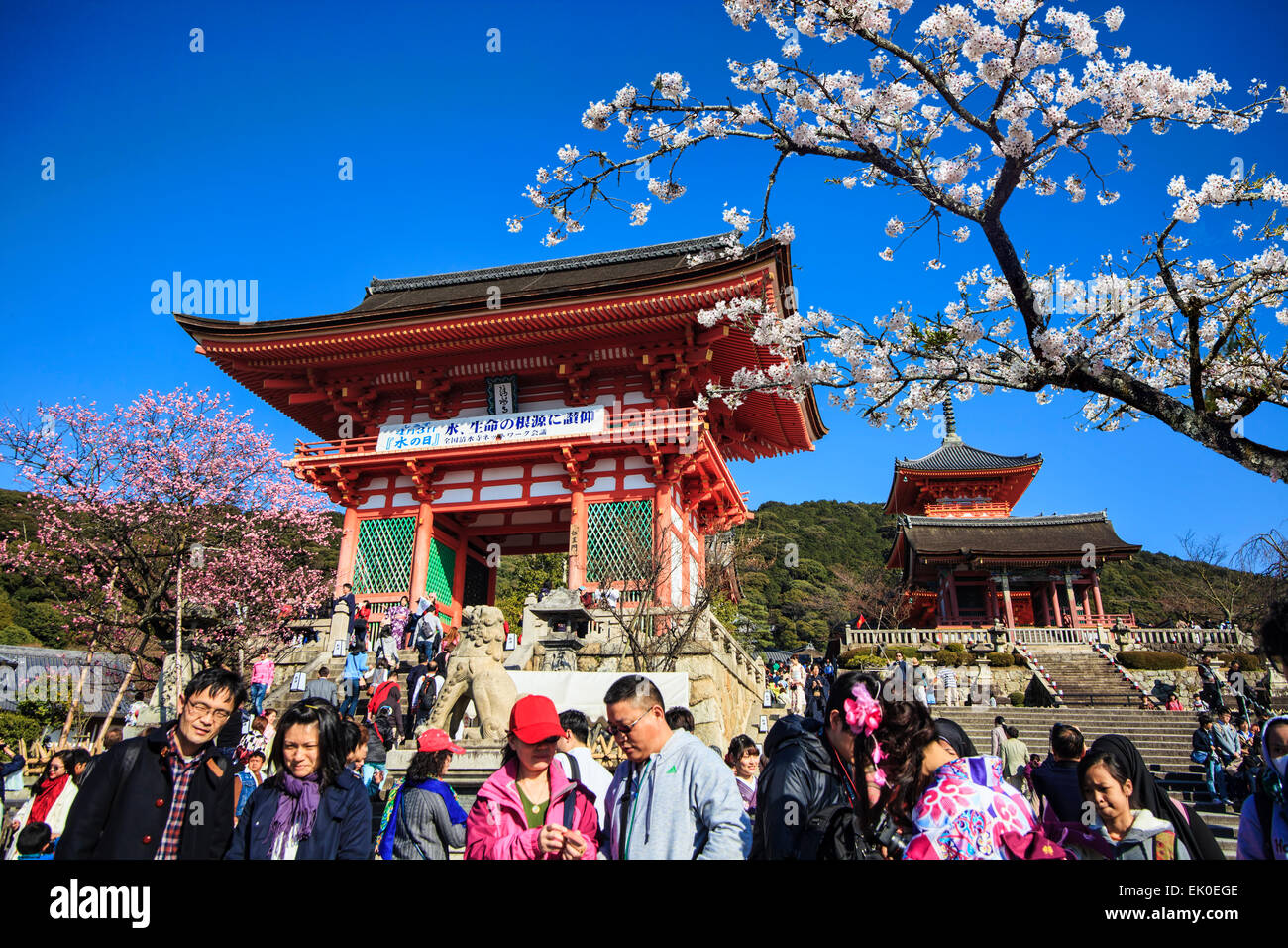 Kyoto, Japan - March 28, 2015 : Kiyomizu-dera in Temple Kyoto, Japan Stock Photo
