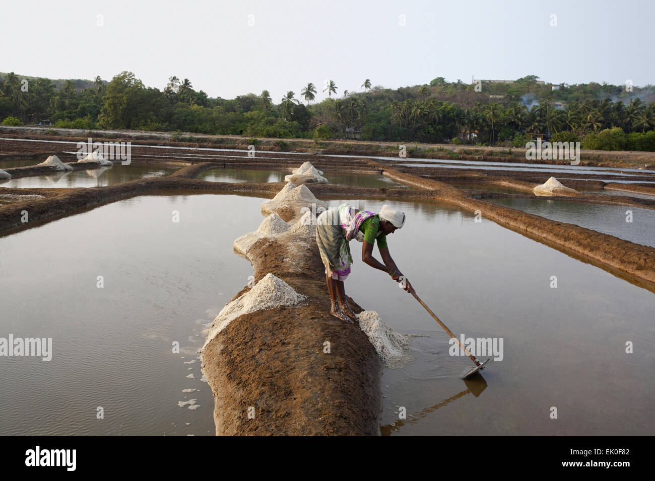 salt workers, Nerul Bardez, Goa Stock Photo