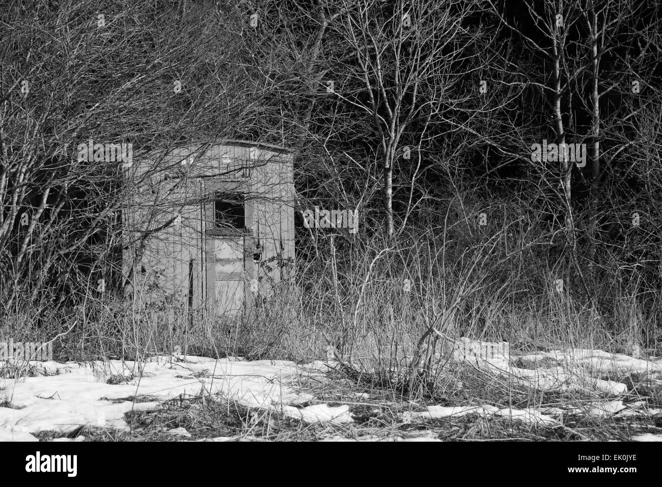 Black an white shot of a shack in a forest at winter time Stock Photo ...