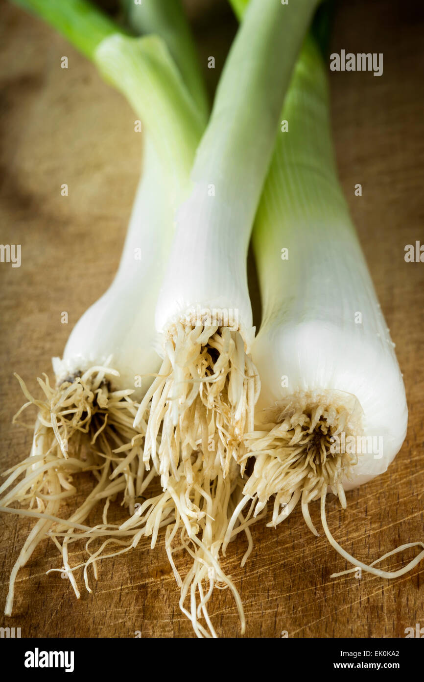 Bunch of spring onions hi-res stock photography and images - Alamy