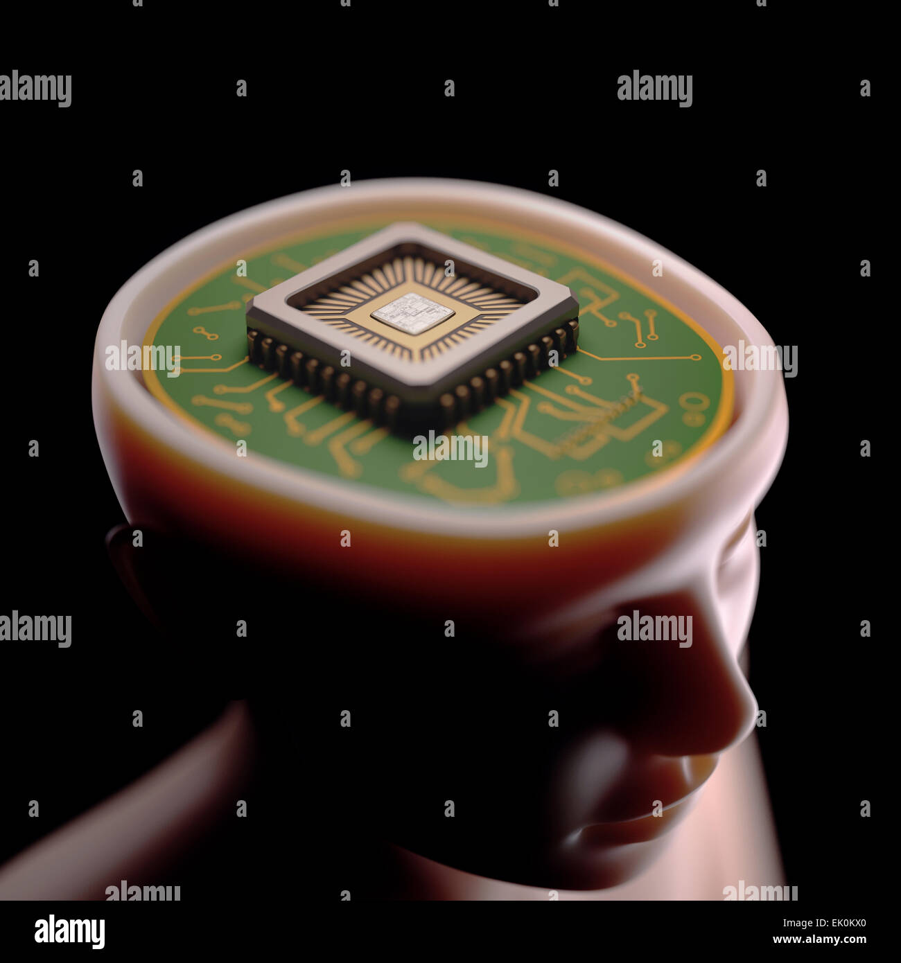 artwork, digitally generated, illustration, nobody, no one, no-one, 3d, 3 dimensional, three dimensional, biology, biological, health, technology, technological, head, brain, microprocessor, circuit board, computer science, artificial intelligence, ai, bl Stock Photo
