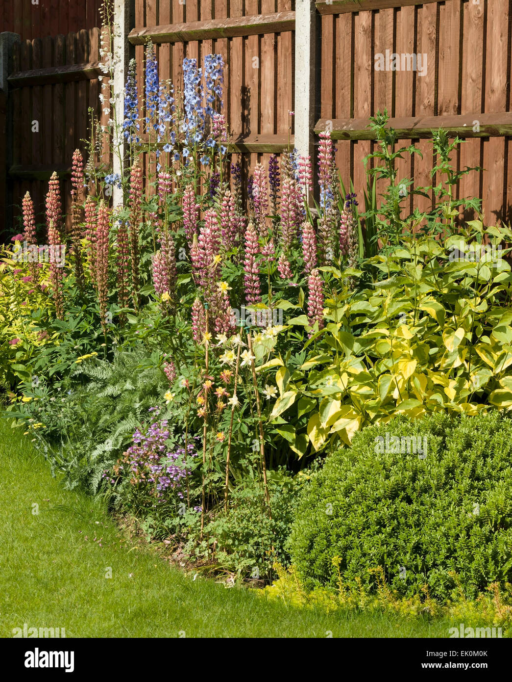 Garden border hi-res stock photography and images - Alamy
