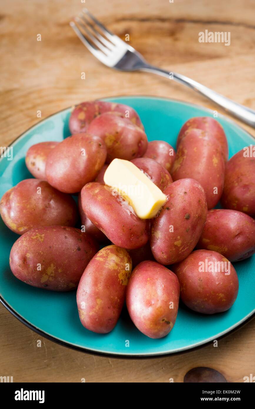 nobody, no one, no-one, healthy eating, fresh, food, food and drink, still life, vegetable, close up, close-up, closeup, close up shot, close-up shot, closeup shot, close up view, close-up view, closeup view, potato, potatoes, king edward potato, king edw Stock Photo