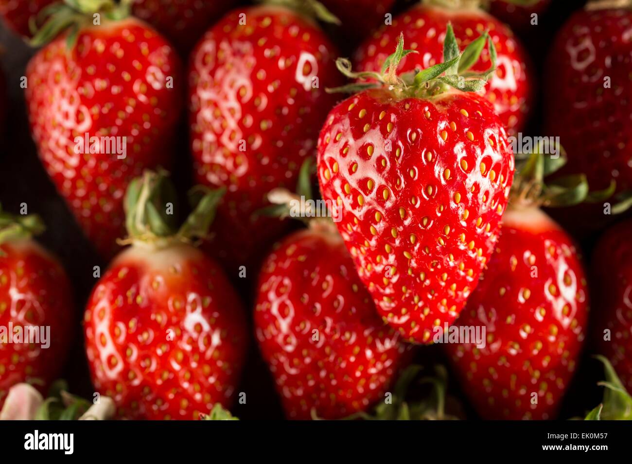 nobody, no one, no-one, healthy eating, fresh, food, food and drink, produce, fruit, raw, full frame, medium group of objects, red, gariguette strawberry, gariguette strawberries, strawberry, strawberries, berry, berries, soft fruit, standing out from the Stock Photo