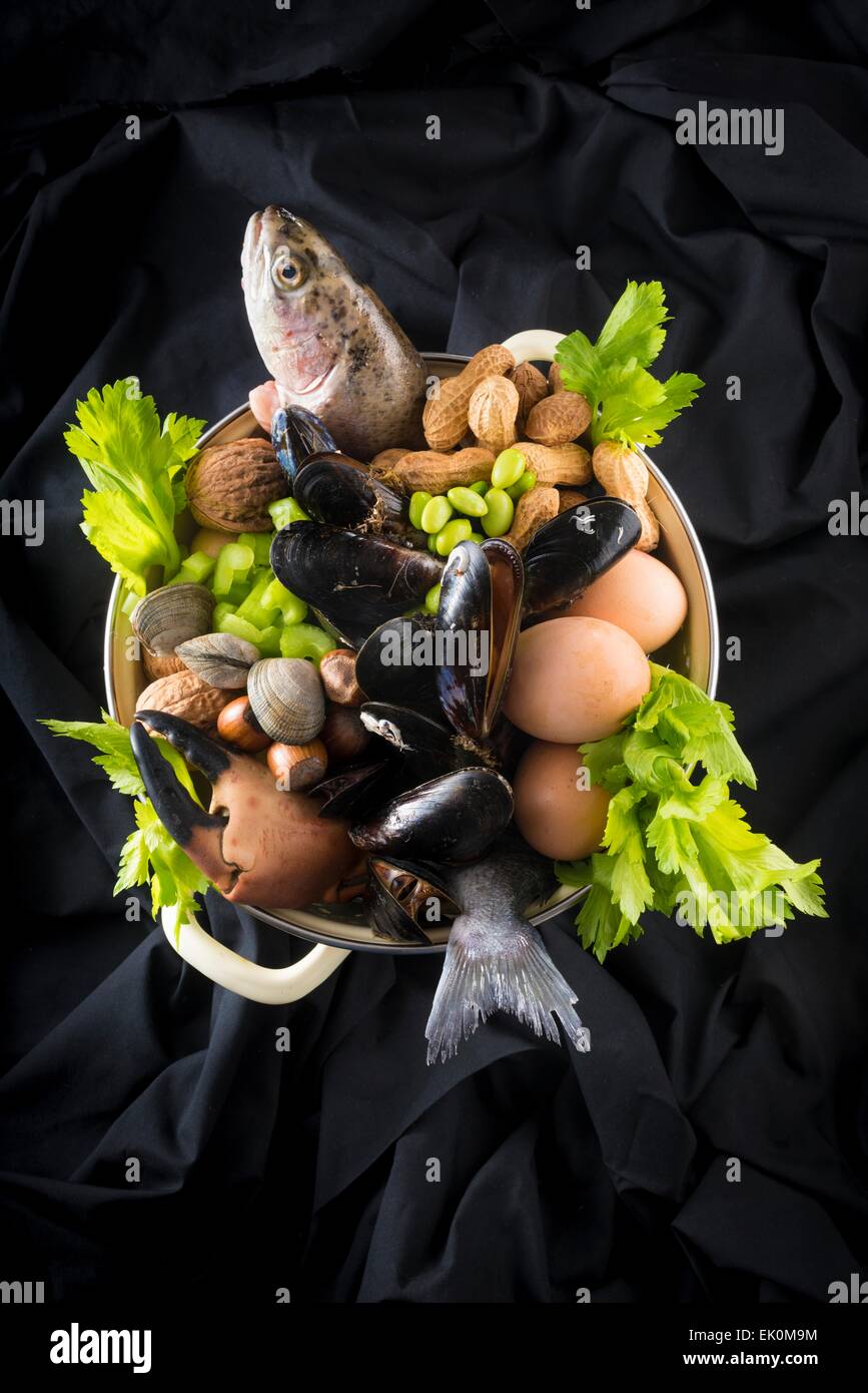 beans, celery, crab, eggs, fish, food, food and drink, fresh, health, healthy eating, high angle, high angle view, legumes, mussels, no one, no-one, nobody, nutrition, nuts, produce, raw, seafood, shellfish, still life, studio shot, studio shots, variatio Stock Photo