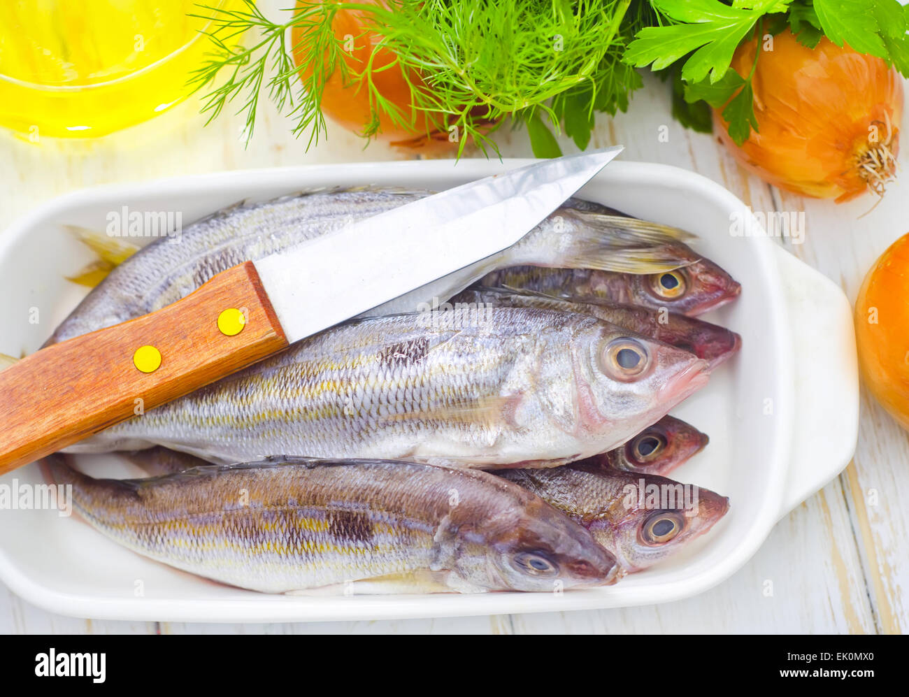 Gill Cover Fish High Resolution Stock Photography and Images - Alamy