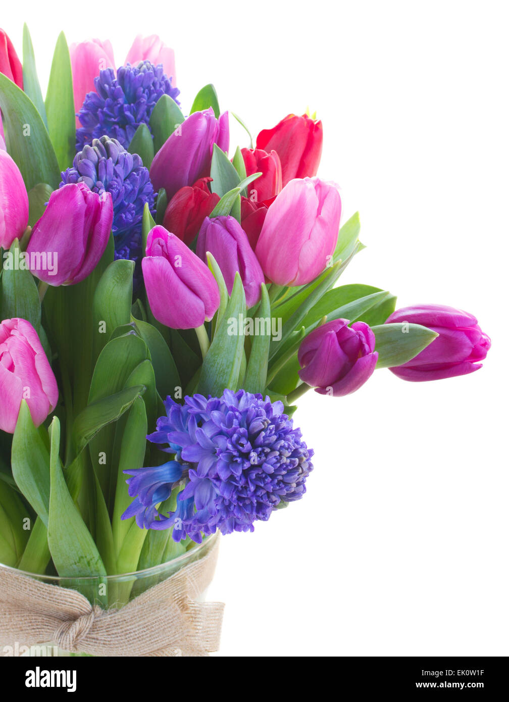 Bouquet Of Blue Hyacinth And Tulips Stock Photo Alamy bouquet-of-blue-hyacinth-and-tulips-stock-photo-alamy
