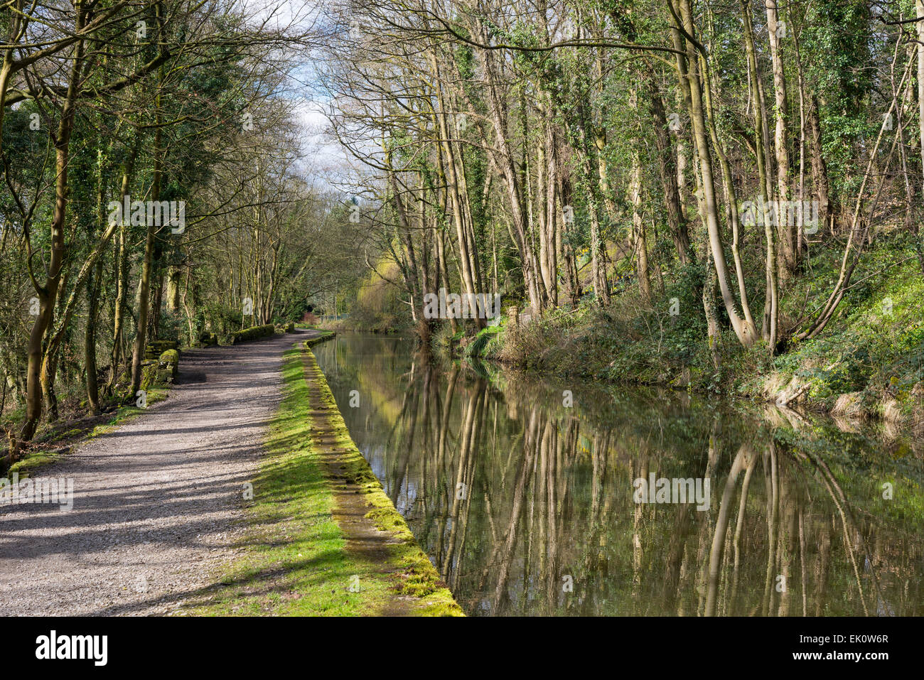 The Peak Forest canal near Romiley, Stockport. A sunny spring morning with trees reflected in the still water. Stock Photo