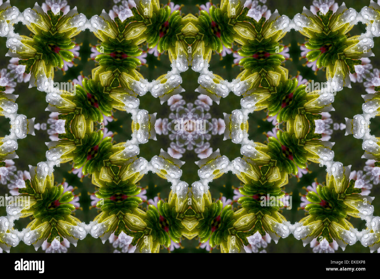 Abstract symmetry hi-res stock photography and images - Alamy