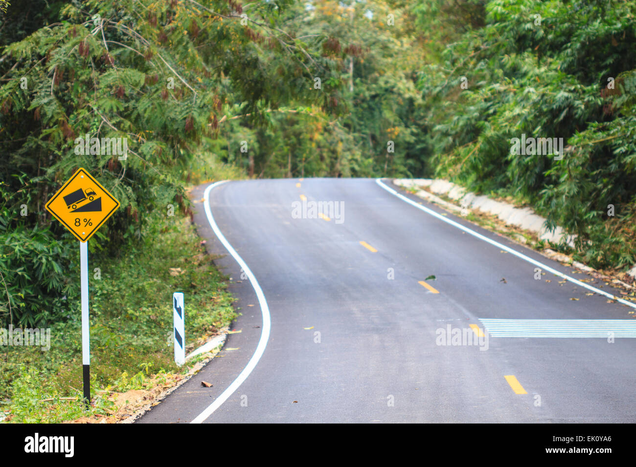 Road in a green forest, national park Stock Photo Alamy