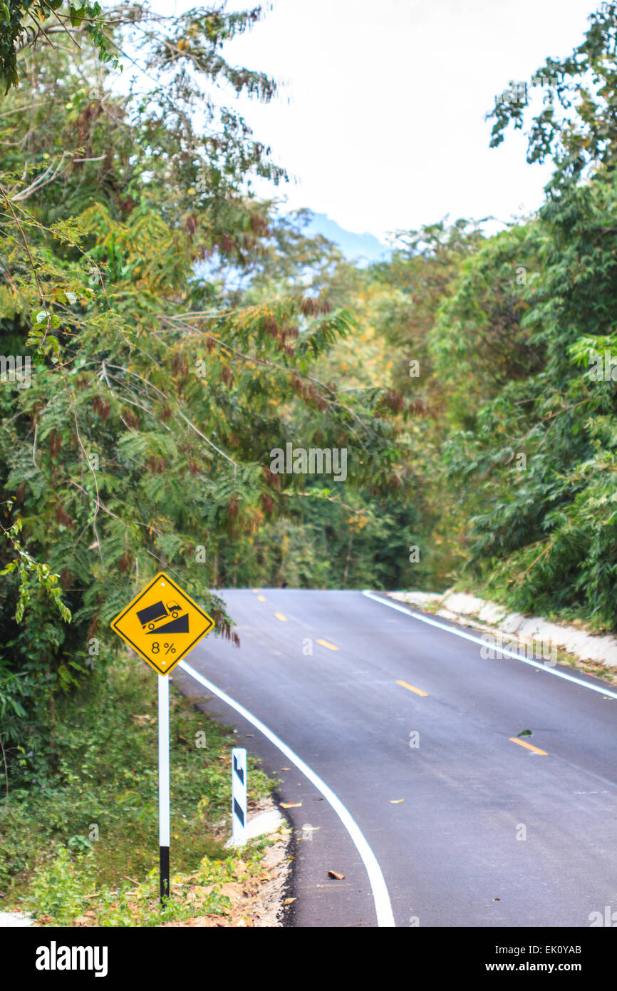 Road in a green forest, national park Stock Photo Alamy
