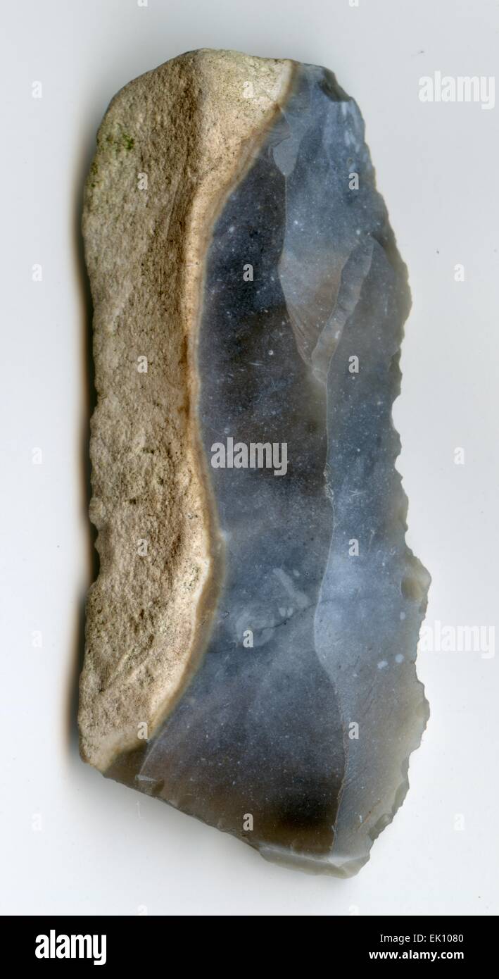 Mesolithic flint scraper blade found by the photographer in Little Baddow, Essex Stock Photo