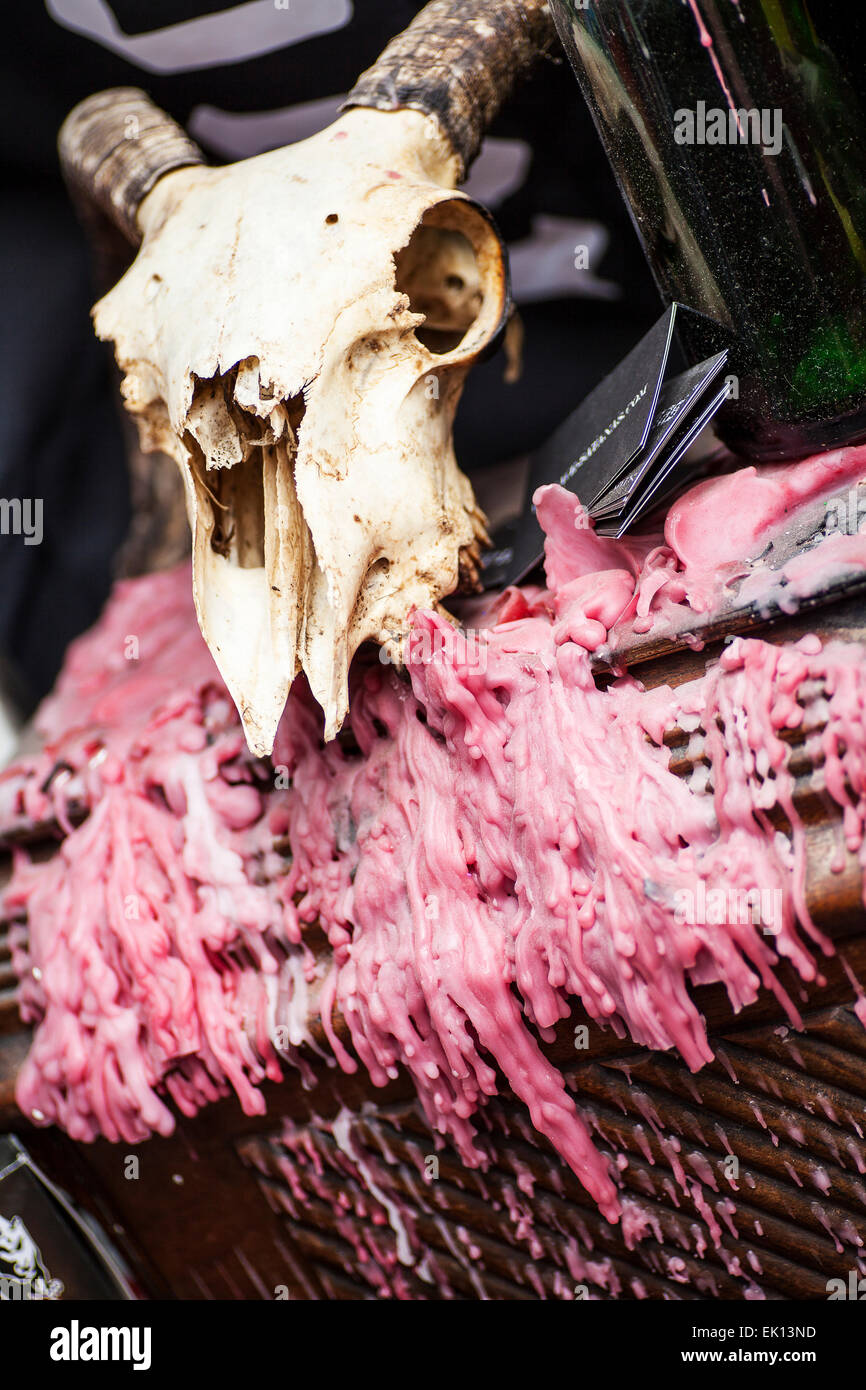 Goat skull surrounded by pink wax drippings Stock Photo