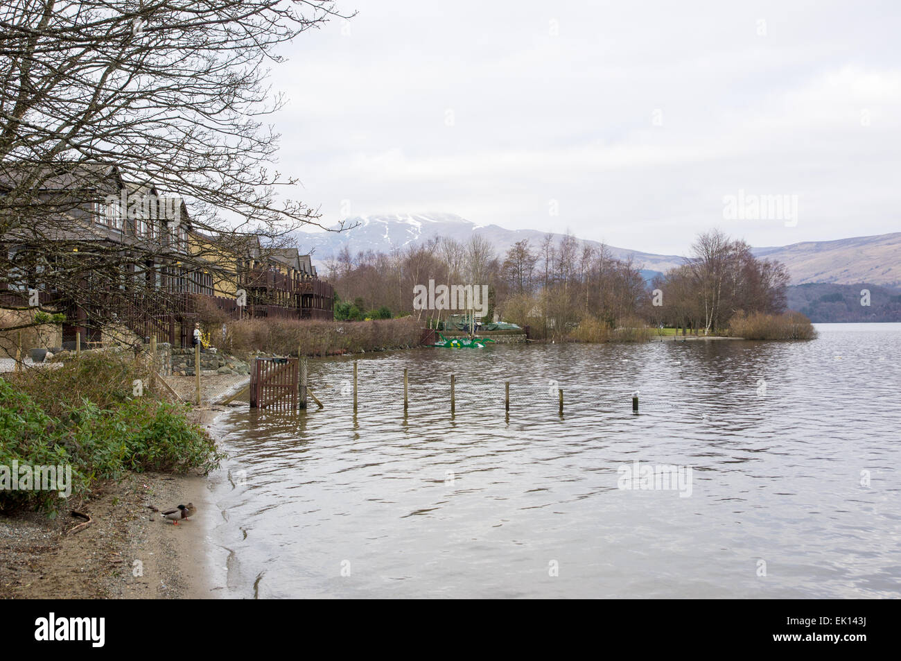 Loch Lomond, Luss, Scotland Stock Photo Alamy