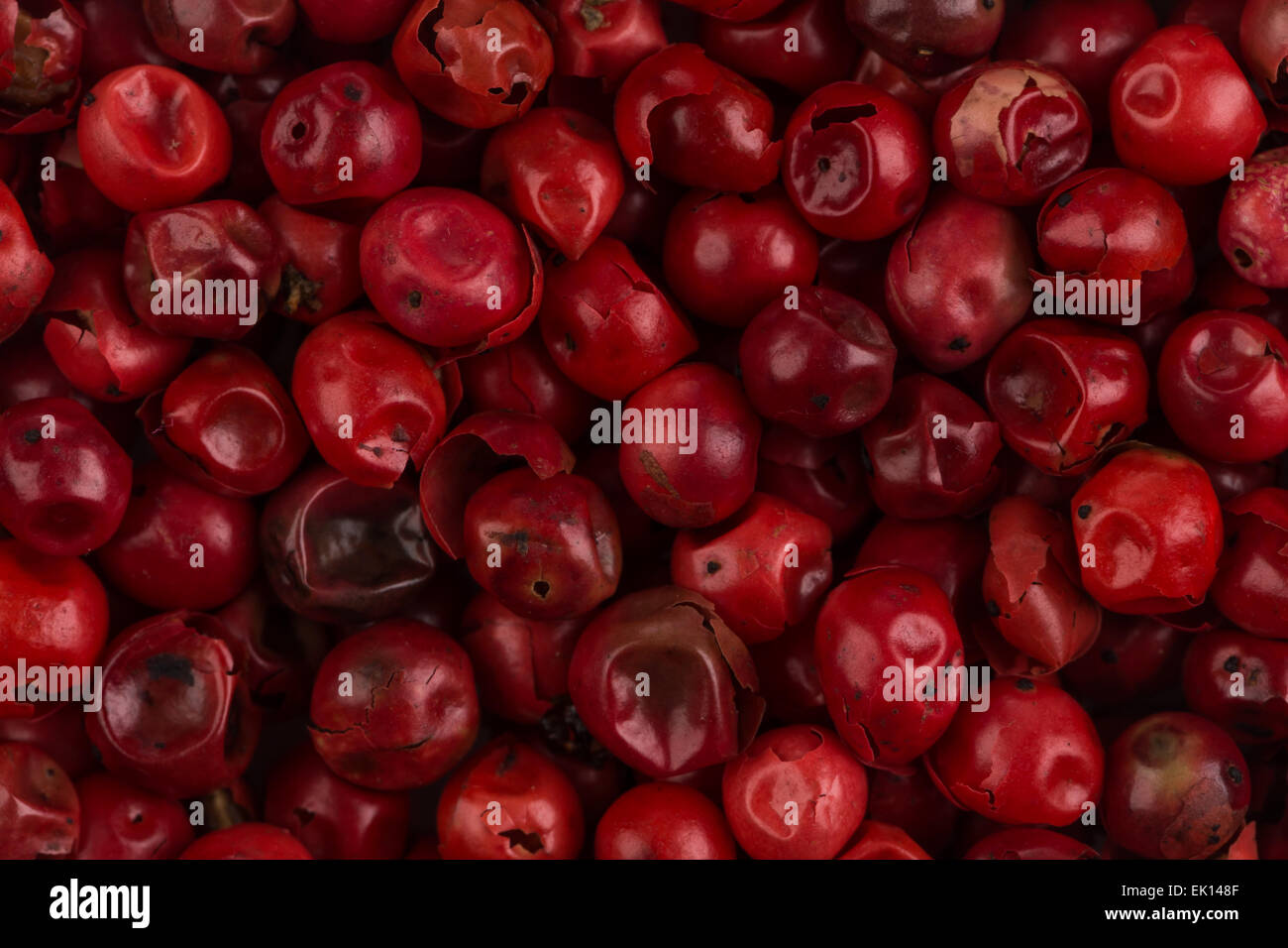 red peppercorns seeds isolated on white background Stock Photo Alamy