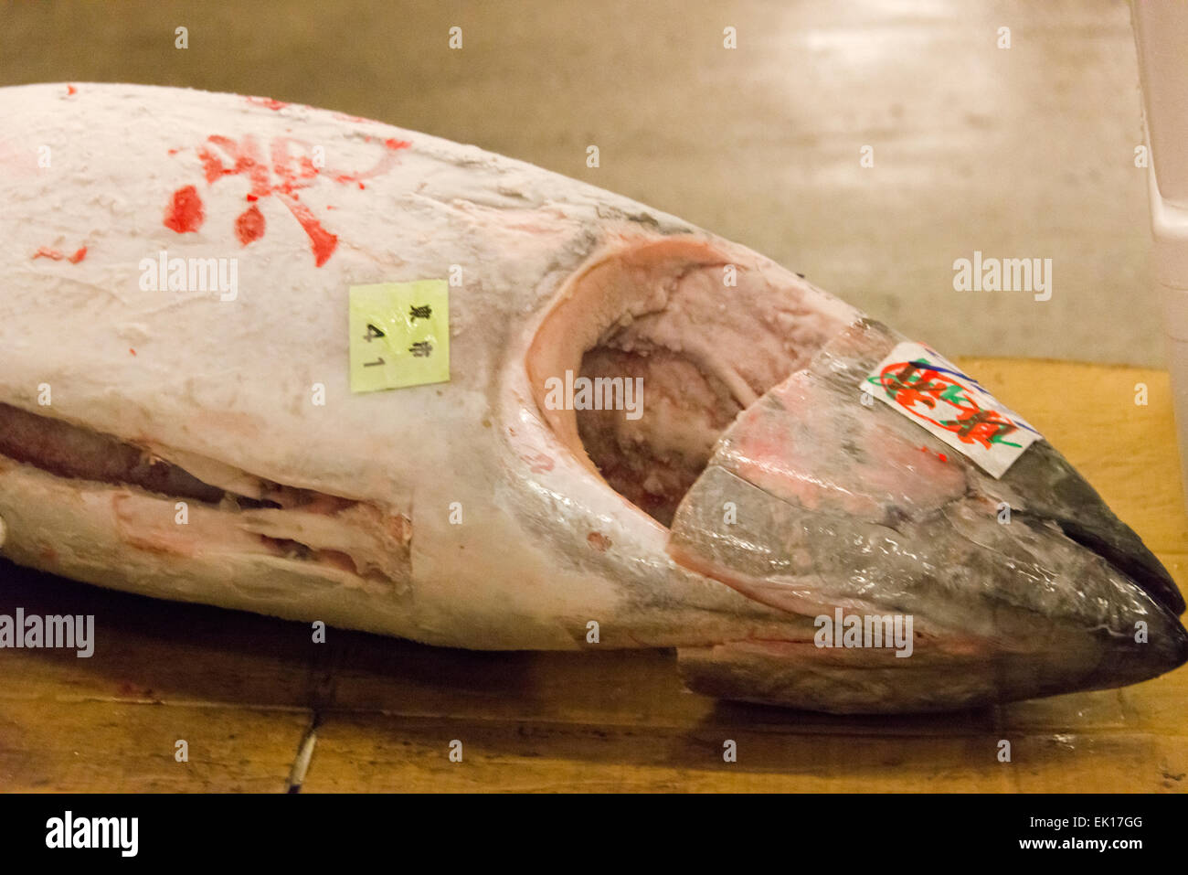 Tuna Auction at Tsukiji Market, Tokyo, Japan Stock Photo