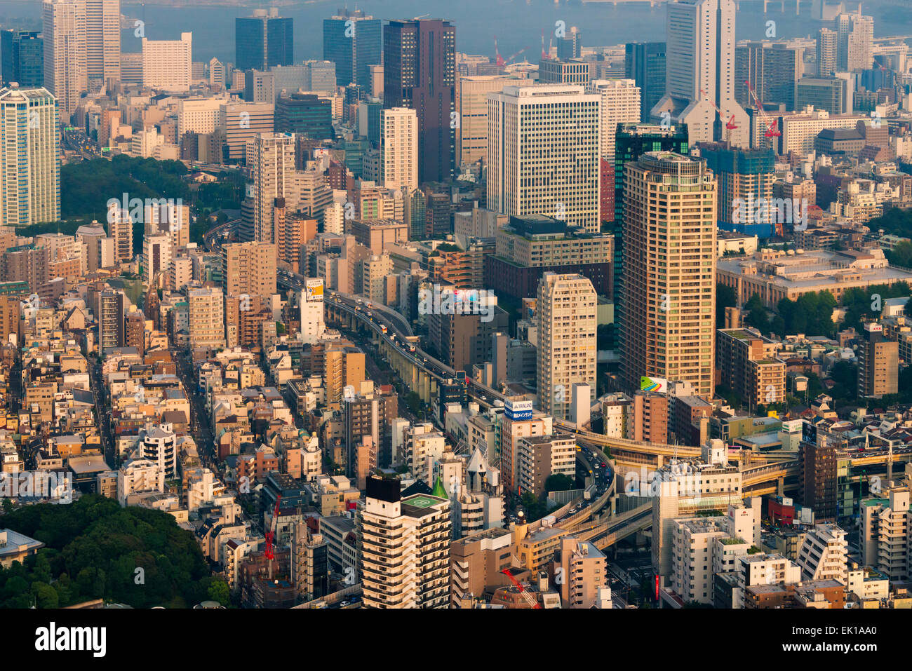 High rises in the downtown, Tokyo, Japan Stock Photo