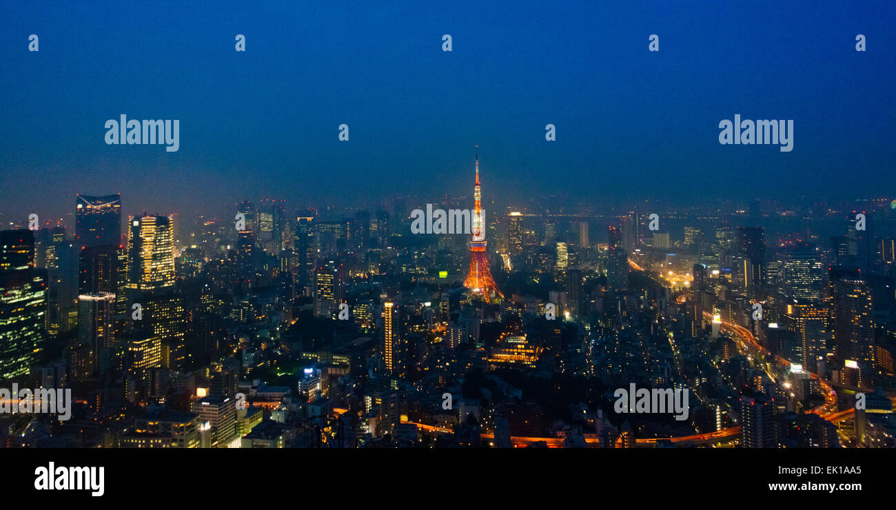 Night view of downtown skyline dominated by Tokyo Tower, Tokyo, Japan Stock Photo