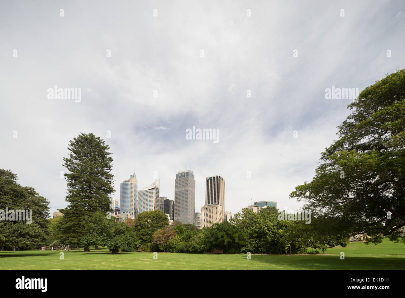 Sydney Australia skyline as seen from the Royal Botanic Gardens. Stock Photo