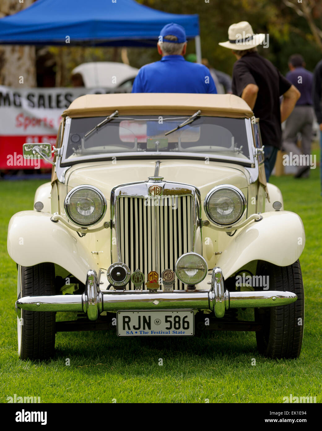 Show MG car club of SA Australia, Adelaide Stock Photo Alamy