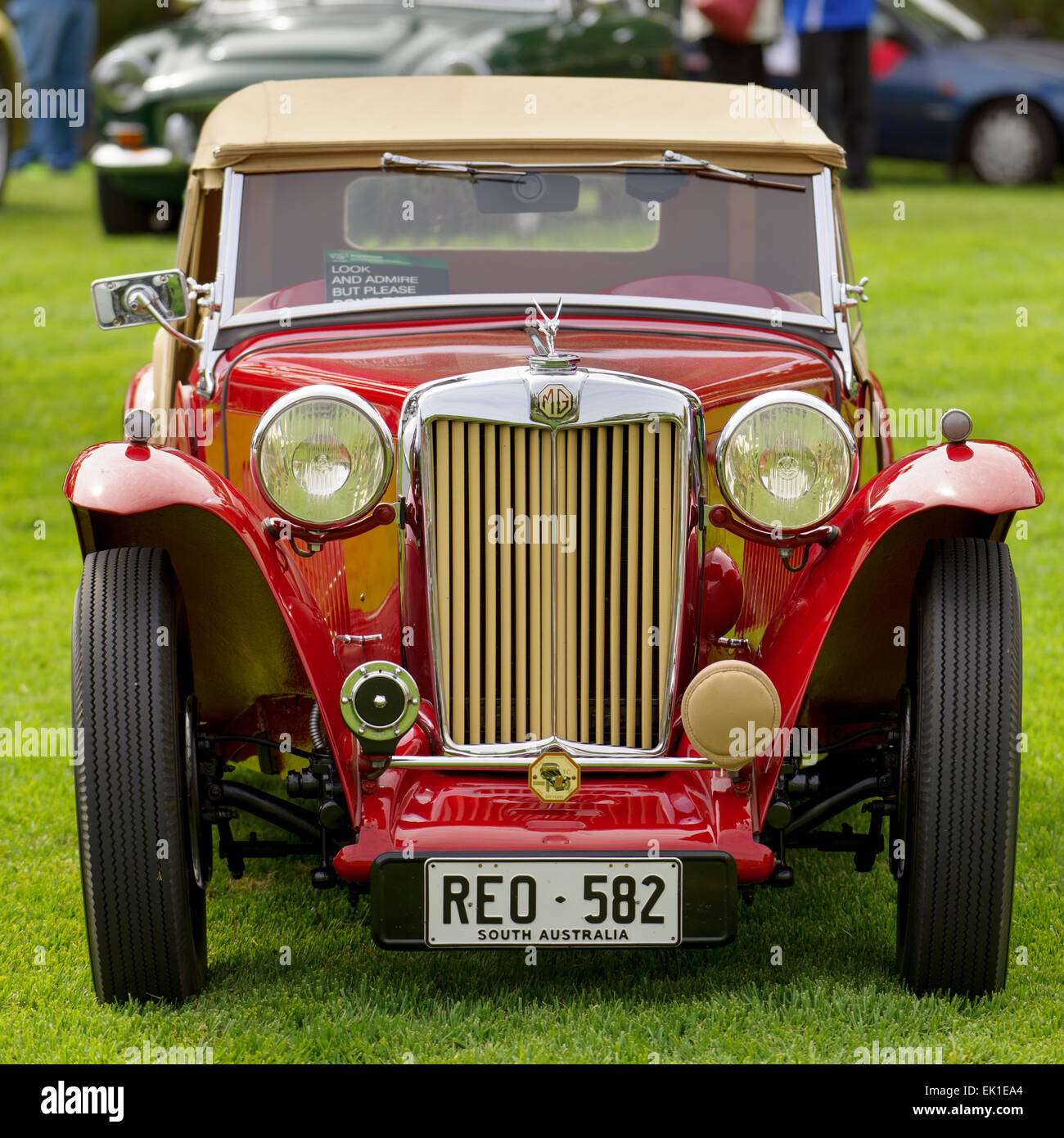 Show MG car club of SA Australia, Adelaide Stock Photo Alamy