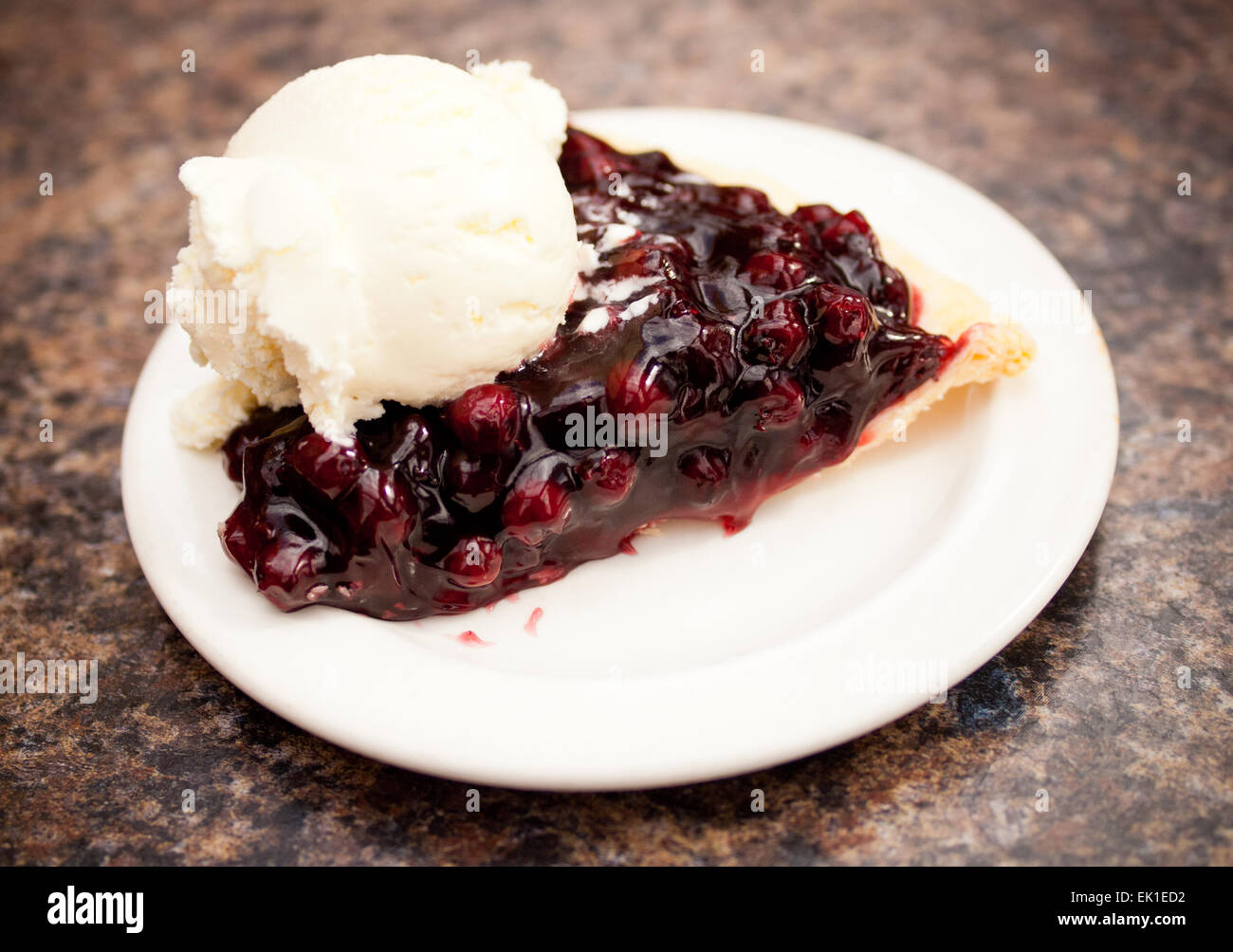 Saskatoon Berry Pie Canada - bmp-tips