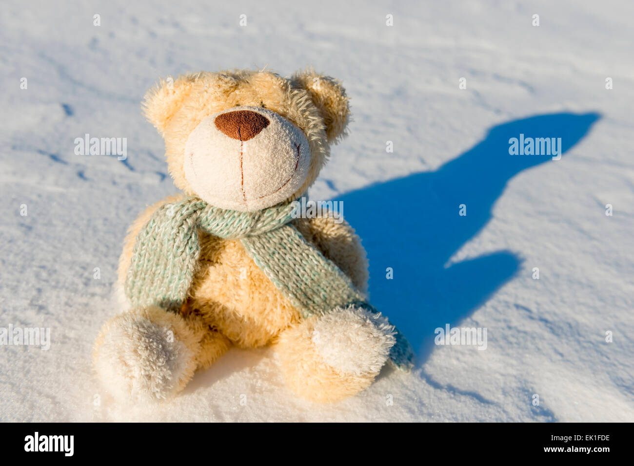teddy bear with scarf sitting in the snow Stock Photo - Alamy