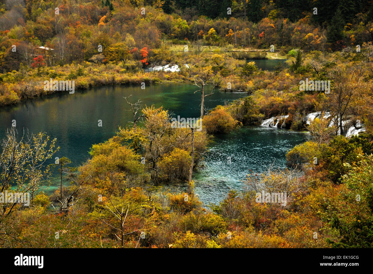 Fall color in mountain of Jiuzhaigou National Park Stock Photo