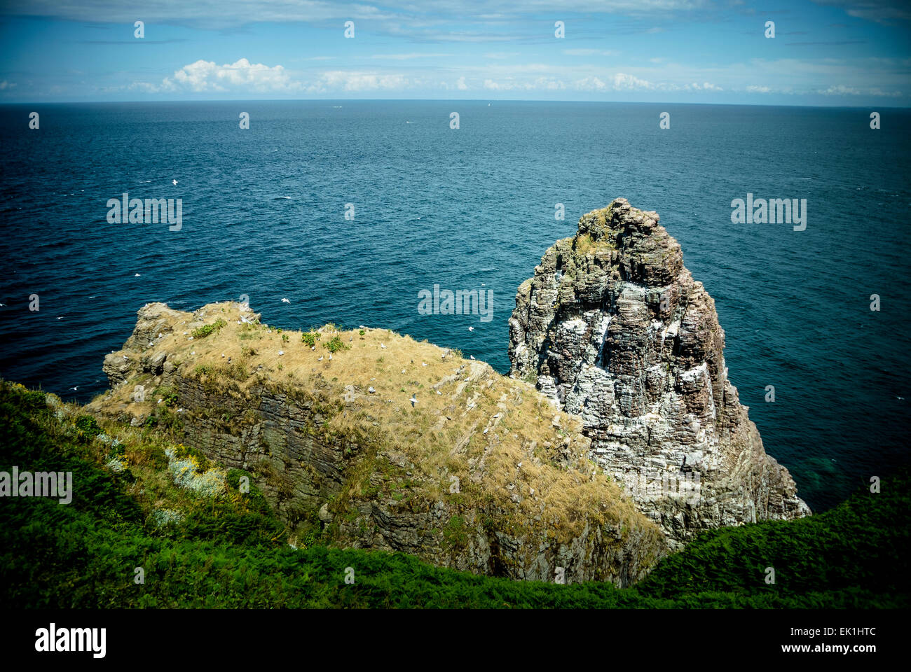 Cliff rocky coast sea brittany hi-res stock photography and images - Alamy