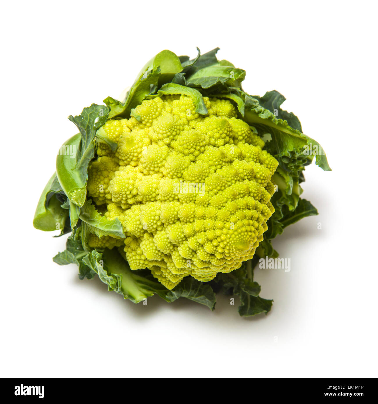 Romanesco broccoli isolated on a white studio background. Stock Photo