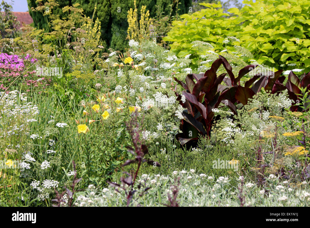 Great Dixter planting combination, late summer. Stock Photo