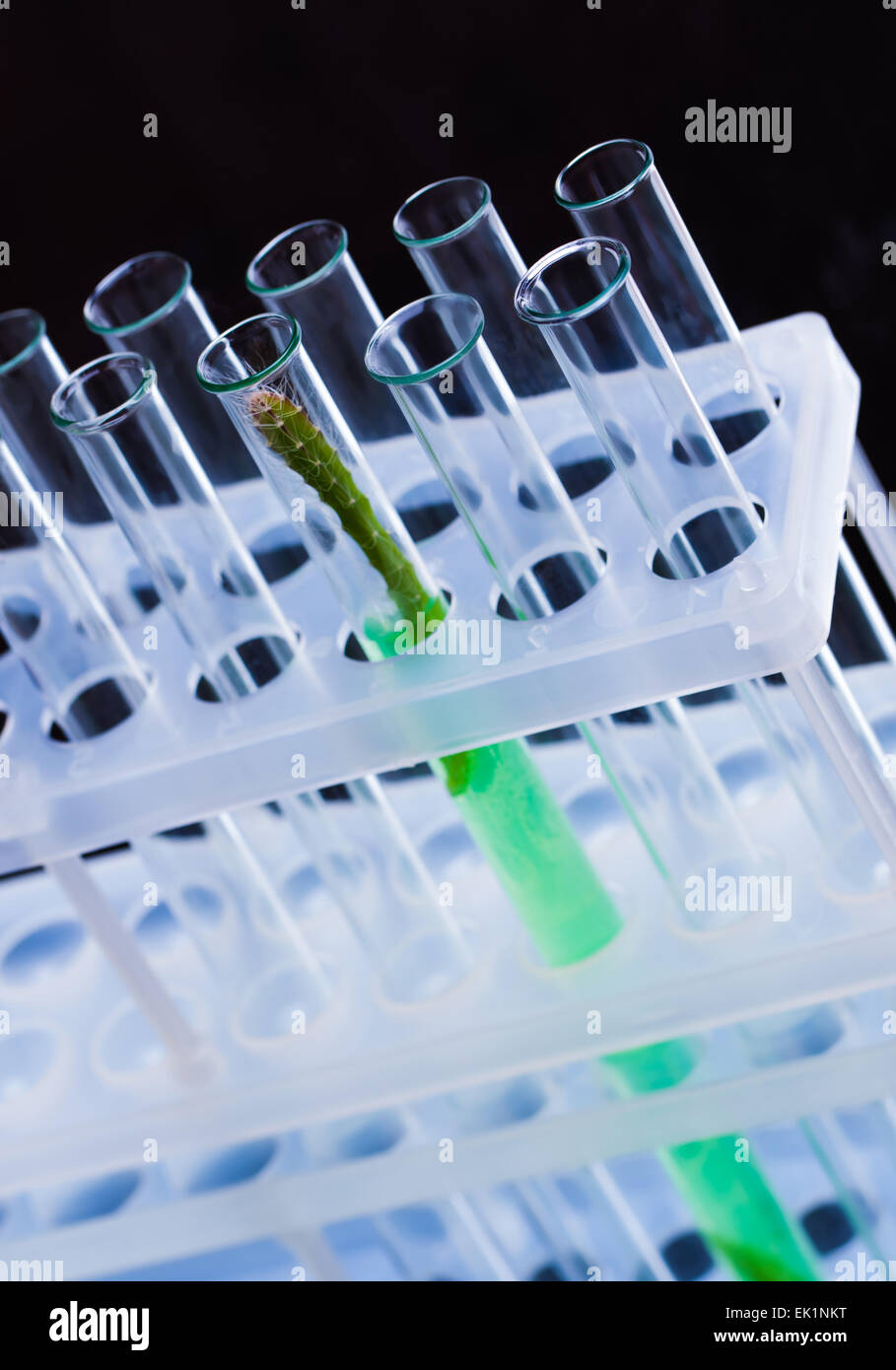 Reflection Tube chemical glass tubes with reflection on a dark background Stock Photo ...