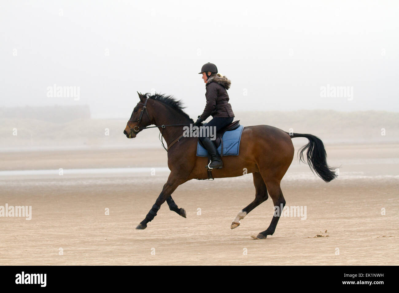 Sefton, Southport, Merseyside, UK 5th April, 2015.  UK Weather.  A galloping horse is exercised on the beach on a Foggy, Misty and Damp day on the north-west Coast.  Credit:  Mar Photographics/Alamy Live News Stock Photo