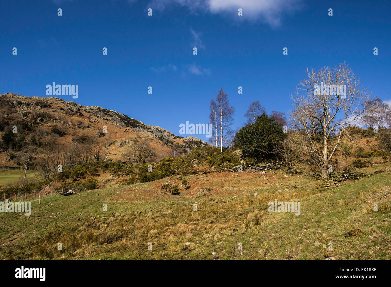 View of Little Langdale, Lake District, Cumbria, UK Stock Photo