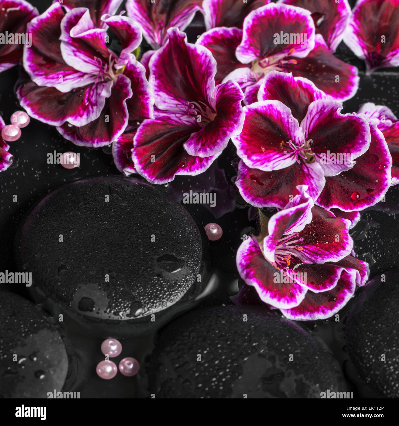 beautiful spa still life of geranium flower, beads and black zen stones ...