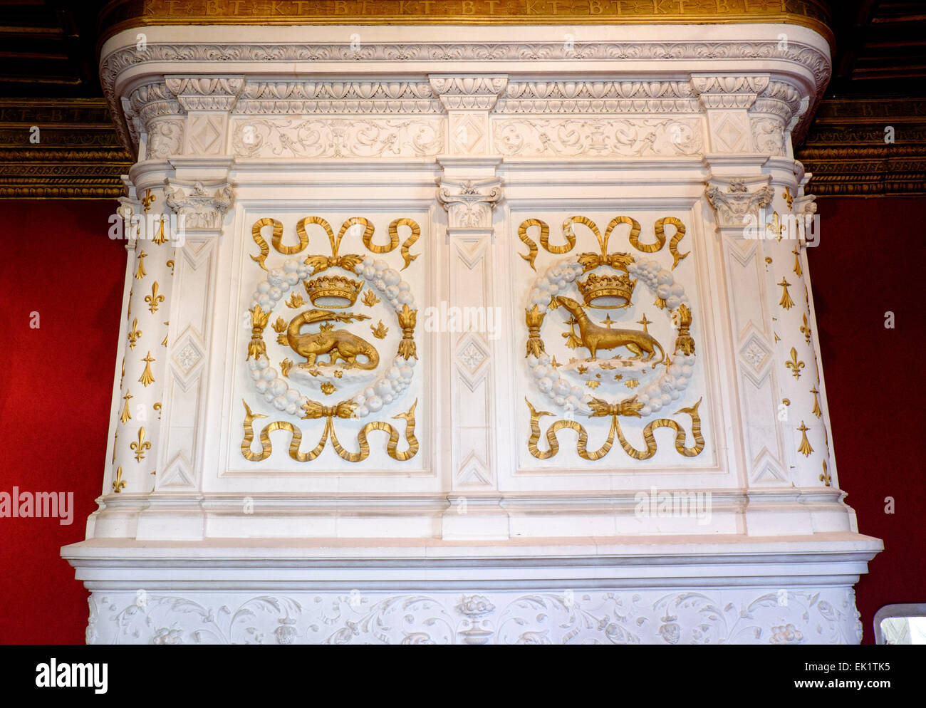 Fireplace  in Louis XIV's drawing room, Chateau de Chenonceau in the Indre-et-Loire, France Stock Photo