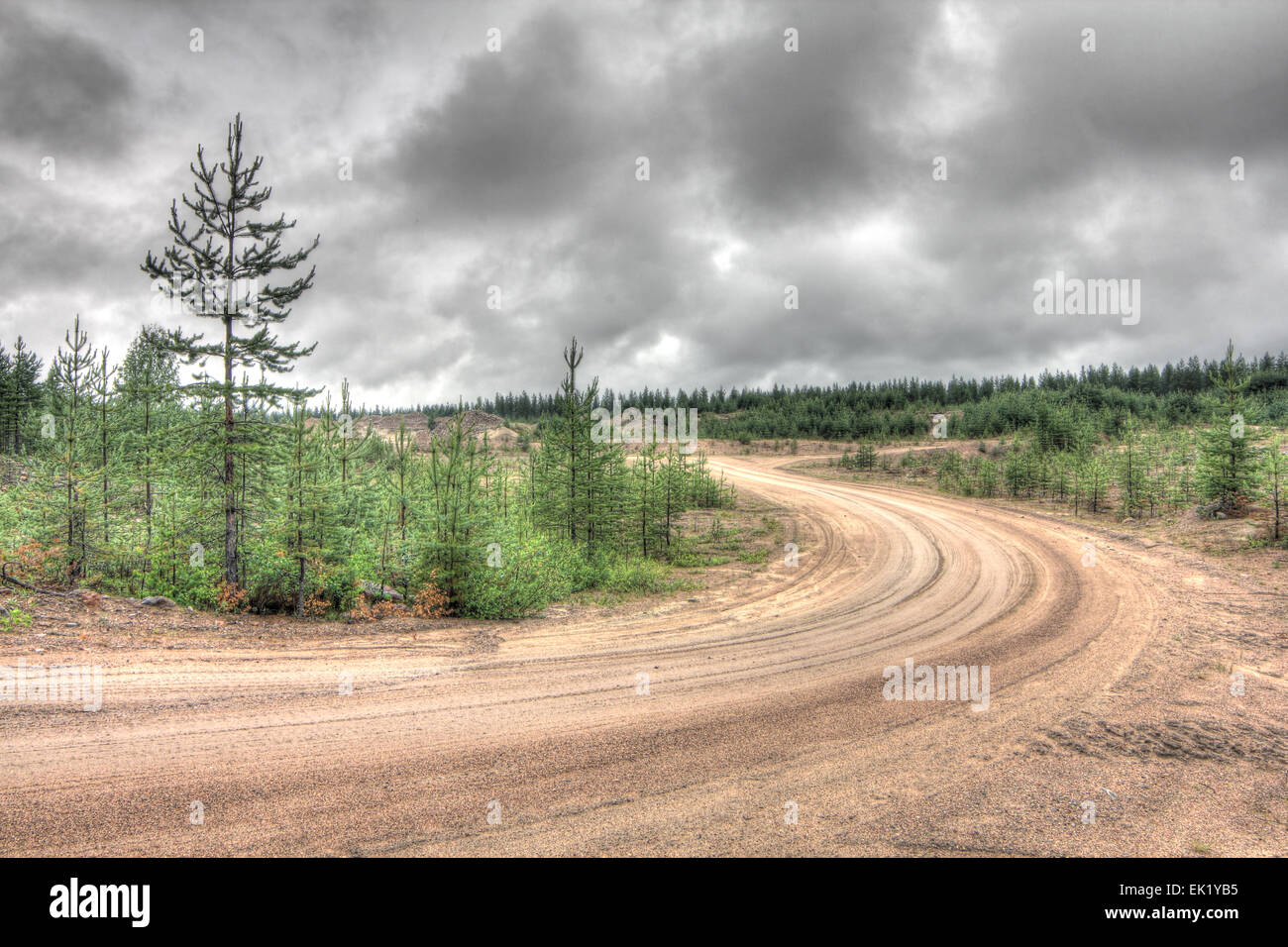 Summer landscape with green field, forest and rural road Stock Photo ...