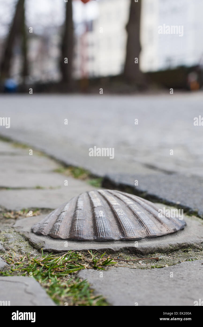 Ornamental Seashell cobblestone, Bruges, Brussels Stock Photo